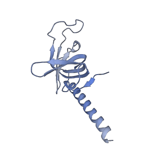 26863_7uy5_J_v1-3
Tetrahymena telomerase with CST