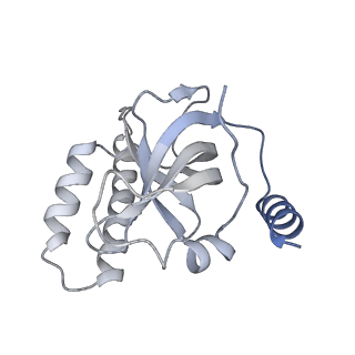 26863_7uy5_K_v1-2
Tetrahymena telomerase with CST