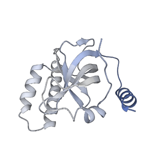 26863_7uy5_K_v1-3
Tetrahymena telomerase with CST