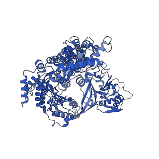 26865_7uy6_A_v1-2
Tetrahymena telomerase at 2.9 Angstrom resolution