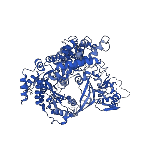 26865_7uy6_A_v1-3
Tetrahymena telomerase at 2.9 Angstrom resolution