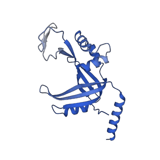 26865_7uy6_D_v1-2
Tetrahymena telomerase at 2.9 Angstrom resolution