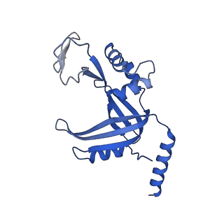 26865_7uy6_D_v1-3
Tetrahymena telomerase at 2.9 Angstrom resolution