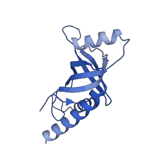 26865_7uy6_E_v1-2
Tetrahymena telomerase at 2.9 Angstrom resolution