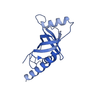 26865_7uy6_E_v1-3
Tetrahymena telomerase at 2.9 Angstrom resolution