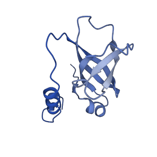 26865_7uy6_F_v1-2
Tetrahymena telomerase at 2.9 Angstrom resolution