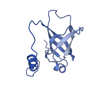 26865_7uy6_F_v1-3
Tetrahymena telomerase at 2.9 Angstrom resolution