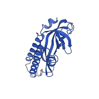 26865_7uy6_G_v1-2
Tetrahymena telomerase at 2.9 Angstrom resolution