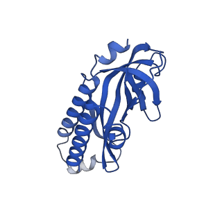 26865_7uy6_G_v1-3
Tetrahymena telomerase at 2.9 Angstrom resolution