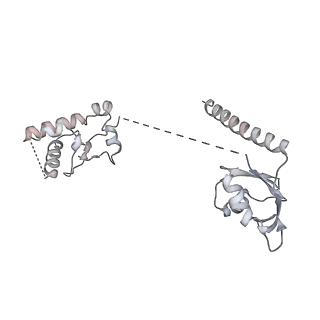 26865_7uy6_H_v1-2
Tetrahymena telomerase at 2.9 Angstrom resolution