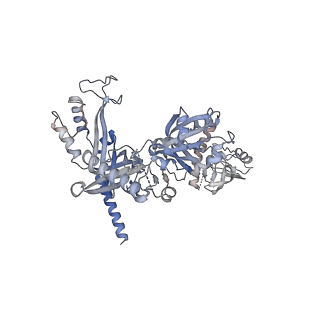 26866_7uy7_A_v1-2
Tetrahymena CST with Polymerase alpha-Primase