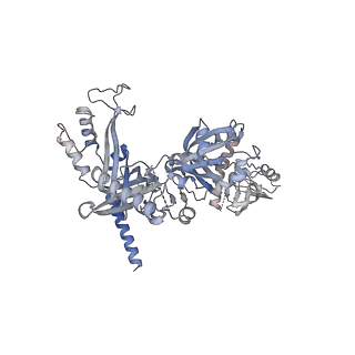 26866_7uy7_A_v1-3
Tetrahymena CST with Polymerase alpha-Primase