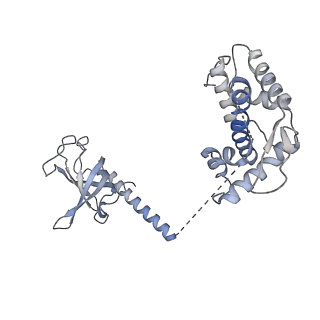 26866_7uy7_B_v1-2
Tetrahymena CST with Polymerase alpha-Primase