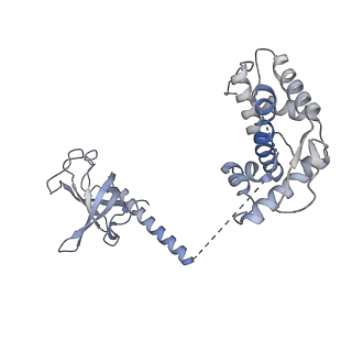 26866_7uy7_B_v1-3
Tetrahymena CST with Polymerase alpha-Primase