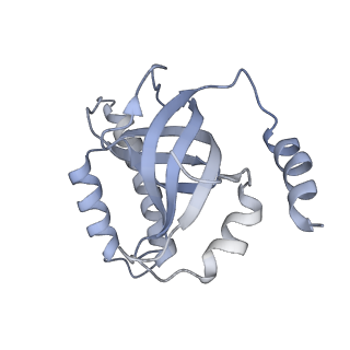 26866_7uy7_C_v1-2
Tetrahymena CST with Polymerase alpha-Primase