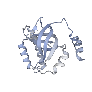 26866_7uy7_C_v1-3
Tetrahymena CST with Polymerase alpha-Primase