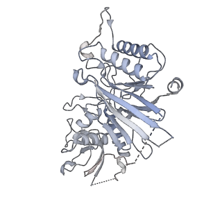 26867_7uy8_B_v1-2
Tetrahymena Polymerase alpha-Primase
