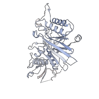 26867_7uy8_B_v1-3
Tetrahymena Polymerase alpha-Primase