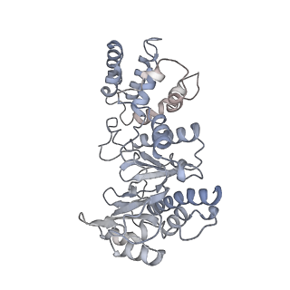 26867_7uy8_C_v1-2
Tetrahymena Polymerase alpha-Primase