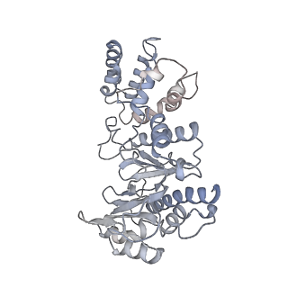 26867_7uy8_C_v1-3
Tetrahymena Polymerase alpha-Primase