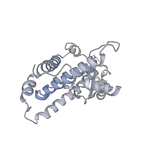 26867_7uy8_D_v1-2
Tetrahymena Polymerase alpha-Primase