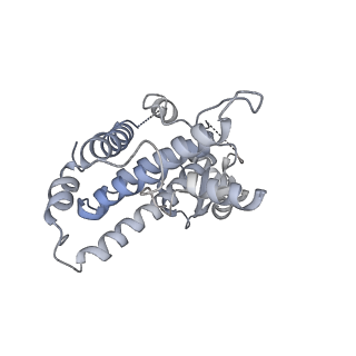 26867_7uy8_D_v1-3
Tetrahymena Polymerase alpha-Primase