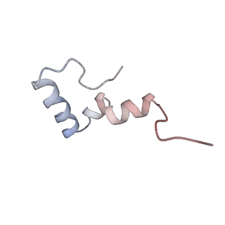 2773_4uy8_2_v1-3
Molecular basis for the ribosome functioning as a L-tryptophan sensor - Cryo-EM structure of a TnaC stalled E.coli ribosome