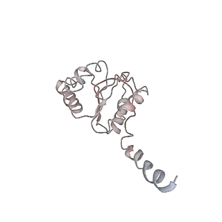 2773_4uy8_5_v1-3
Molecular basis for the ribosome functioning as a L-tryptophan sensor - Cryo-EM structure of a TnaC stalled E.coli ribosome
