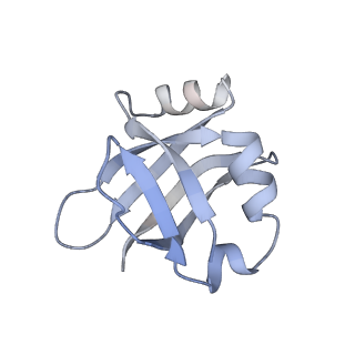 2773_4uy8_8_v1-3
Molecular basis for the ribosome functioning as a L-tryptophan sensor - Cryo-EM structure of a TnaC stalled E.coli ribosome