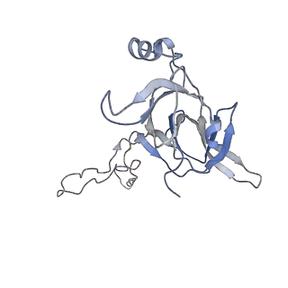 2773_4uy8_D_v1-3
Molecular basis for the ribosome functioning as a L-tryptophan sensor - Cryo-EM structure of a TnaC stalled E.coli ribosome