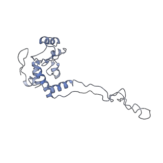 2773_4uy8_E_v1-3
Molecular basis for the ribosome functioning as a L-tryptophan sensor - Cryo-EM structure of a TnaC stalled E.coli ribosome