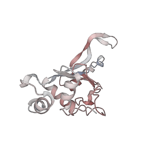 2773_4uy8_F_v1-3
Molecular basis for the ribosome functioning as a L-tryptophan sensor - Cryo-EM structure of a TnaC stalled E.coli ribosome