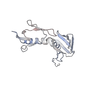 2773_4uy8_G_v1-3
Molecular basis for the ribosome functioning as a L-tryptophan sensor - Cryo-EM structure of a TnaC stalled E.coli ribosome