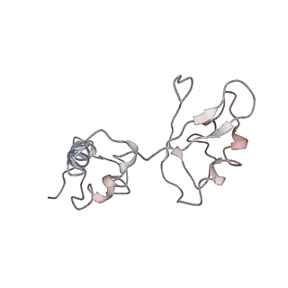 2773_4uy8_I_v1-3
Molecular basis for the ribosome functioning as a L-tryptophan sensor - Cryo-EM structure of a TnaC stalled E.coli ribosome