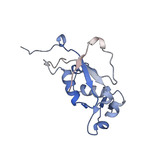 2773_4uy8_J_v1-3
Molecular basis for the ribosome functioning as a L-tryptophan sensor - Cryo-EM structure of a TnaC stalled E.coli ribosome