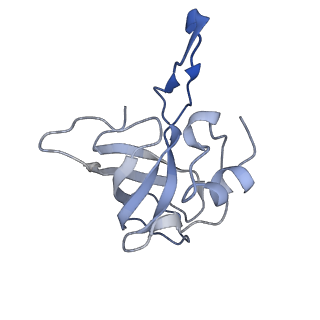 2773_4uy8_K_v1-3
Molecular basis for the ribosome functioning as a L-tryptophan sensor - Cryo-EM structure of a TnaC stalled E.coli ribosome