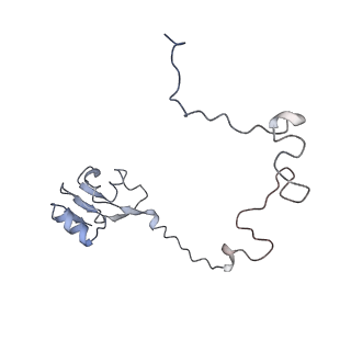 2773_4uy8_L_v1-3
Molecular basis for the ribosome functioning as a L-tryptophan sensor - Cryo-EM structure of a TnaC stalled E.coli ribosome