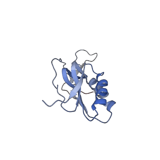 2773_4uy8_M_v1-3
Molecular basis for the ribosome functioning as a L-tryptophan sensor - Cryo-EM structure of a TnaC stalled E.coli ribosome