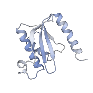2773_4uy8_O_v1-3
Molecular basis for the ribosome functioning as a L-tryptophan sensor - Cryo-EM structure of a TnaC stalled E.coli ribosome