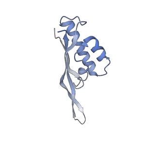 2773_4uy8_S_v1-3
Molecular basis for the ribosome functioning as a L-tryptophan sensor - Cryo-EM structure of a TnaC stalled E.coli ribosome