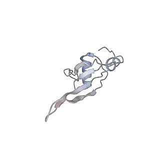 2773_4uy8_T_v1-3
Molecular basis for the ribosome functioning as a L-tryptophan sensor - Cryo-EM structure of a TnaC stalled E.coli ribosome