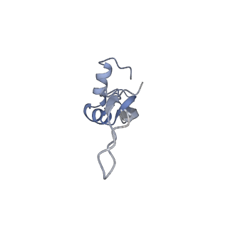 2773_4uy8_X_v1-3
Molecular basis for the ribosome functioning as a L-tryptophan sensor - Cryo-EM structure of a TnaC stalled E.coli ribosome