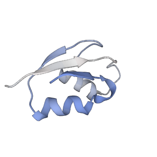 2773_4uy8_Z_v1-3
Molecular basis for the ribosome functioning as a L-tryptophan sensor - Cryo-EM structure of a TnaC stalled E.coli ribosome