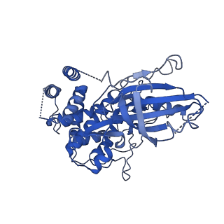 42804_8uyf_A_v1-0
Structure of nucleotide-free Pediculus humanus (Ph) PINK1 dimer