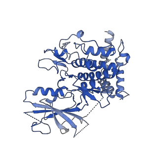 42804_8uyf_B_v1-0
Structure of nucleotide-free Pediculus humanus (Ph) PINK1 dimer