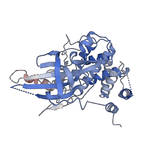 42806_8uyh_A_v1-0
Structure of AMP-PNP-bound Pediculus humanus (Ph) PINK1 dimer