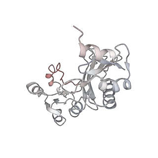 8615_5uyk_03_v1-4
70S ribosome bound with cognate ternary complex not base-paired to A site codon (Structure I)