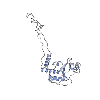 8615_5uyk_06_v1-3
70S ribosome bound with cognate ternary complex not base-paired to A site codon (Structure I)