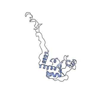 8615_5uyk_06_v1-4
70S ribosome bound with cognate ternary complex not base-paired to A site codon (Structure I)