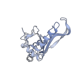 8615_5uyk_07_v1-4
70S ribosome bound with cognate ternary complex not base-paired to A site codon (Structure I)